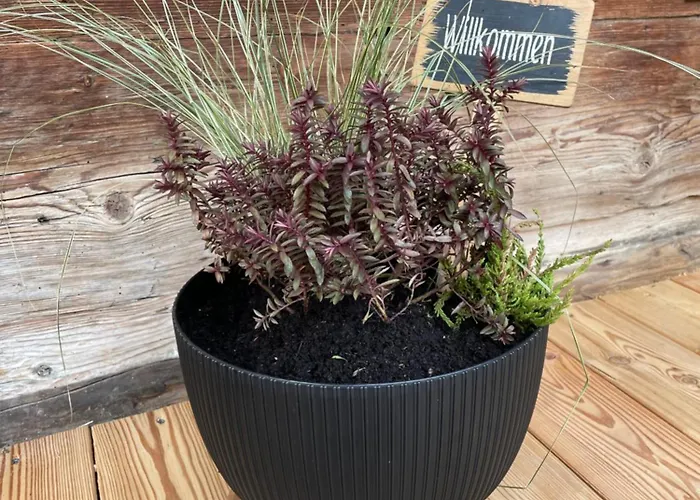 Im Grünen Apartment *